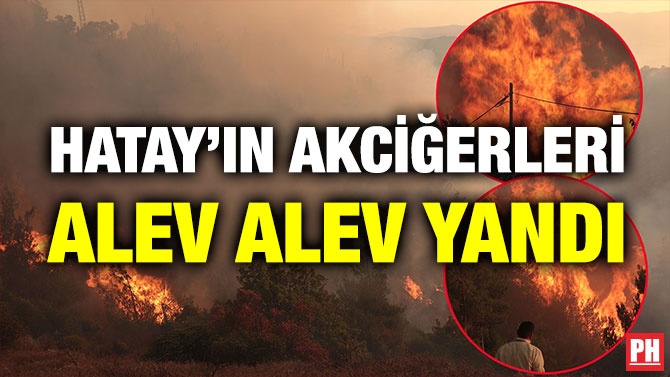 Hatay’ın Akciğerleri Alev Alev Yandı