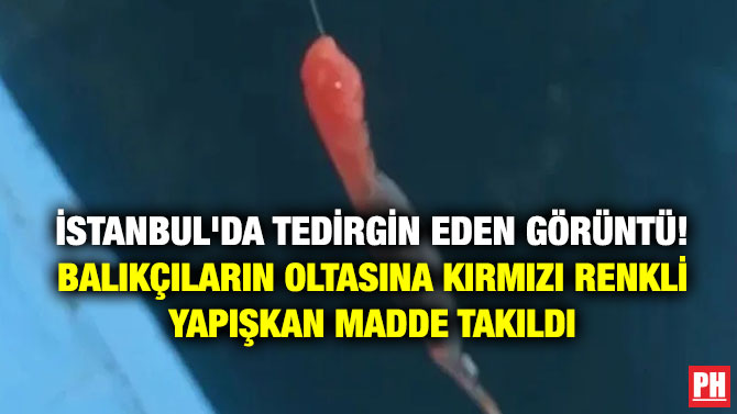 İstanbul’da Tedirgin Eden Görüntü! Balıkçıların Oltasına Kırmızı Renkli Yapışkan Madde Takıldı