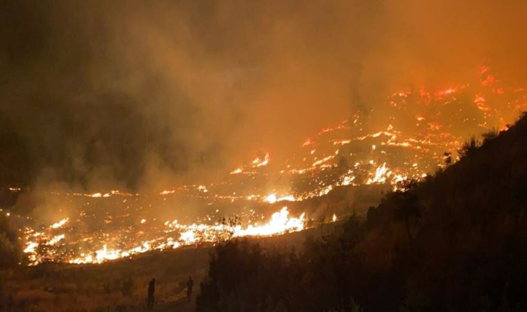 Muğla'da orman yangını