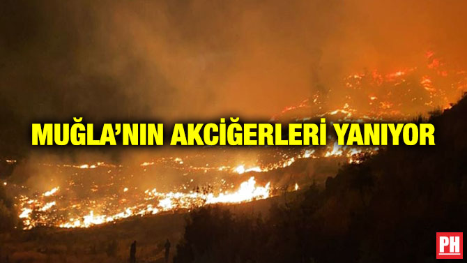 Muğla’nın Akciğerleri Yanıyor