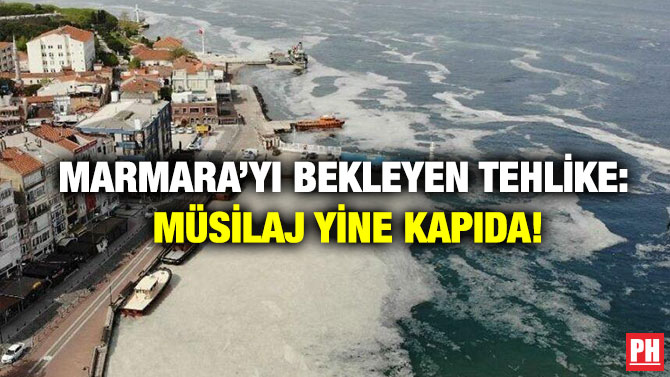Marmara’yı Bekleyen Tehlike: Müsilaj Yine Kapıda!