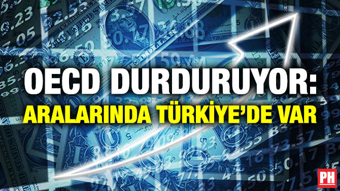 OECD Durduruyor: Aralarında Türkiye’de Var