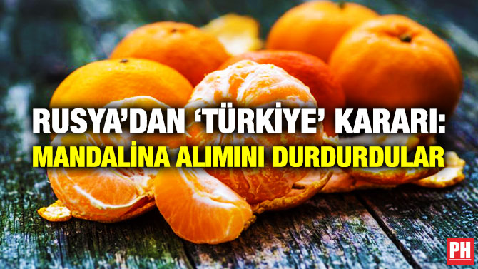 Rusya’dan ‘Türkiye’ Kararı: Mandalina Alımını Durdurdular