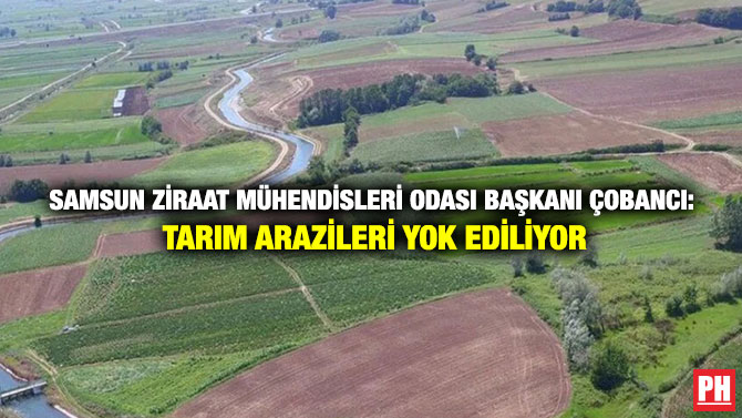 Samsun Ziraat Mühendisleri Odası Başkanı Çobancı: Tarım Arazileri Yok Ediliyor