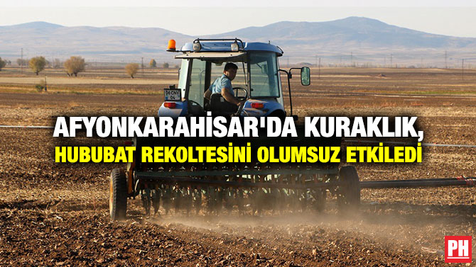 Afyonkarahisar’da Kuraklık, Hububat Rekoltesini Olumsuz Etkiledi