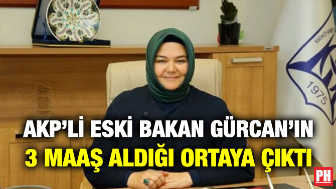 AKP’li Eski Bakan Gürcan’ın 3 Maaş Aldığı Ortaya Çıktı