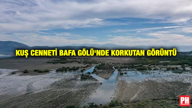 Kuş Cenneti Bafa Gölü’nde Korkutan Görüntü