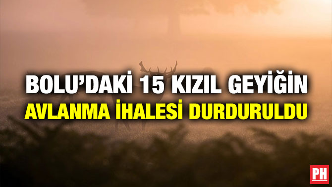 Bolu’daki 15 Kızıl Geyiğin Avlanma İhalesi Durduruldu