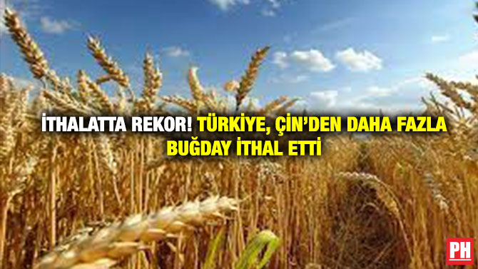İthalatta Rekor! Türkiye, Çin’den Daha Fazla Buğday İthal Etti