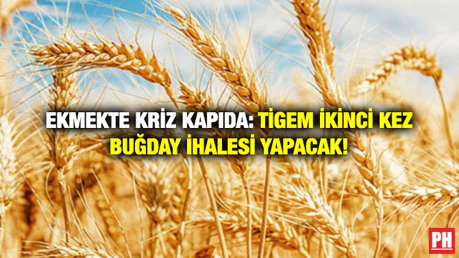 Ekmekte Kriz Kapıda: TİGEM İkinci Kez Buğday İhalesi Yapacak!