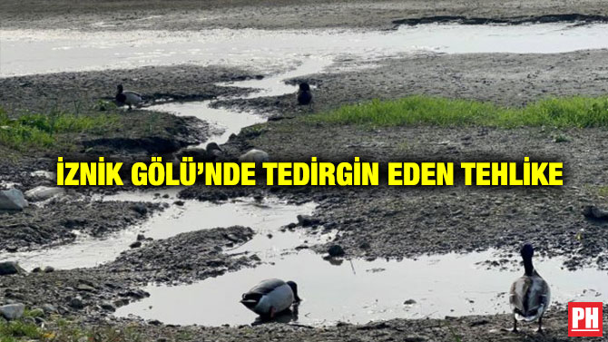 İznik Gölü’nde Tedirgin Eden Tehlike