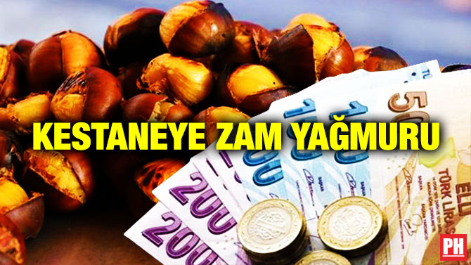 Kestaneye Zam Yağmuru