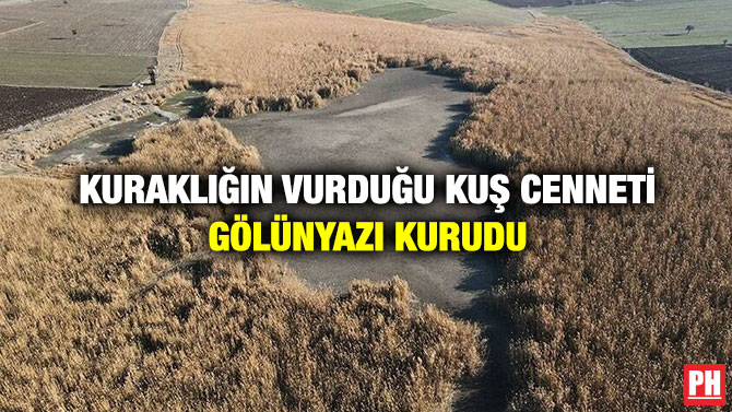 Kuraklığın Vurduğu Kuş Cenneti Gölünyazı Kurudu