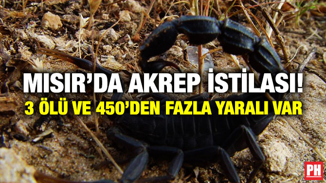 Mısır’da Akrep İstilası! 3 Ölü ve 450’den Fazla Yaralı Var