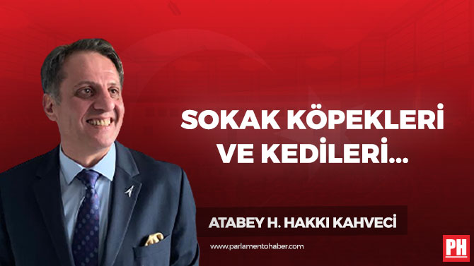 Sokak Köpekleri ve Kedileri Yeni Veba’ya Karşı Tek Silah