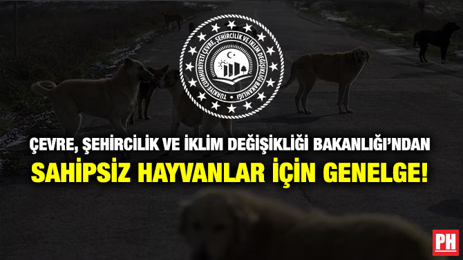 Çevre, Şehircilik ve İklim Değişikliği Bakanlığı’ndan Sahipsiz Hayvanlar için Genelge!