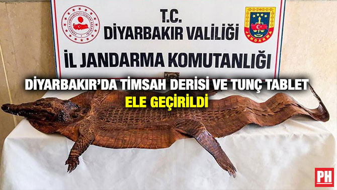 Diyarbakır’da Timsah Derisi ve Tunç Tablet Ele Geçirildi