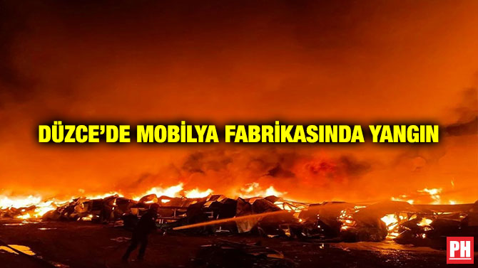 Düzce’de Mobilya Fabrikasında Yangın