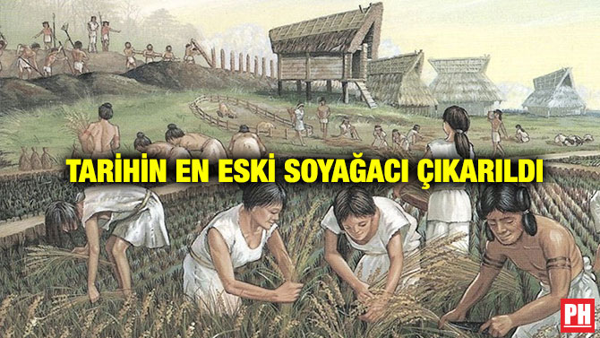 Tarihin En Eski Soyağacı Çıkarıldı