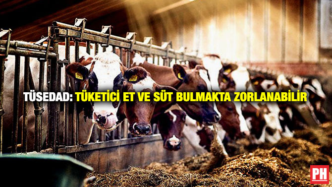 TÜSEDAD: Tüketici Et ve Süt Bulmakta Zorlanabilir