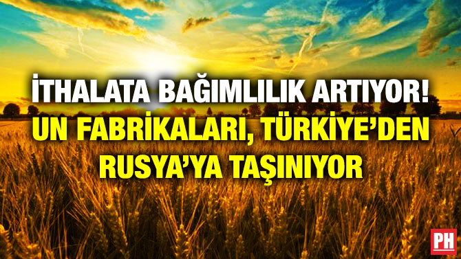 İthalata Bağımlılık Artıyor! Un Fabrikaları, Türkiye’den Rusya’ya Taşınıyor