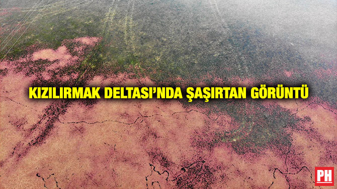 Kızılırmak Deltası’nda Şaşırtan Görüntü