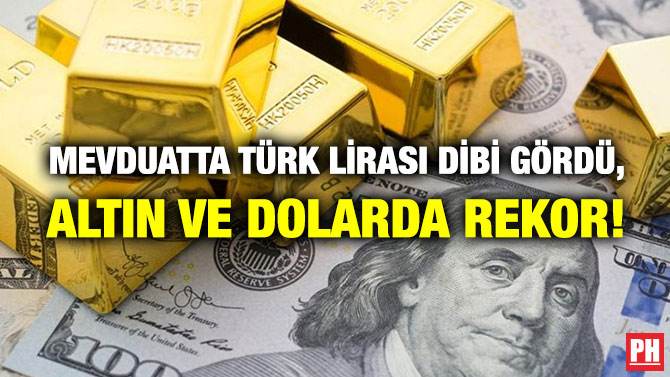 Mevduatta Türk Lirası Dibi Gördü, Altın ve Dolarda Rekor!