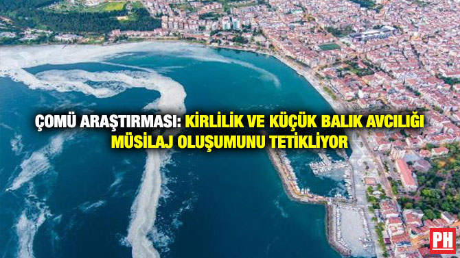 ÇOMÜ Araştırması: Kirlilik ve Küçük Balık Avcılığı Müsilaj Oluşumunu Tetikliyor