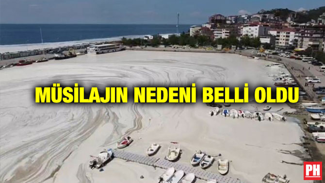 Müsilajın Nedeni Belli Oldu