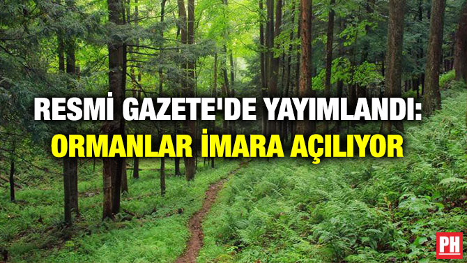 Resmi Gazete’de Yayımlandı: Ormanlar İmara Açılıyor