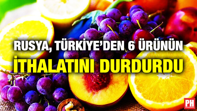 Rusya, Türkiye’den 6 Ürünün İthalatını Durdurdu