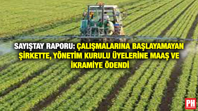 Sayıştay Raporu: Çalışmalarına Başlayamayan Şirkette, Yönetim Kurulu Üyelerine Maaş ve İkramiye Ödendi