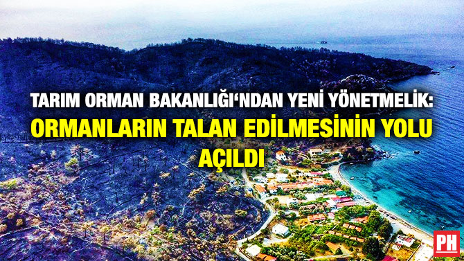 Tarım Orman Bakanlığı’ndan Yeni Yönetmelik: Ormanların Talan Edilmesinin Yolu Açıldı