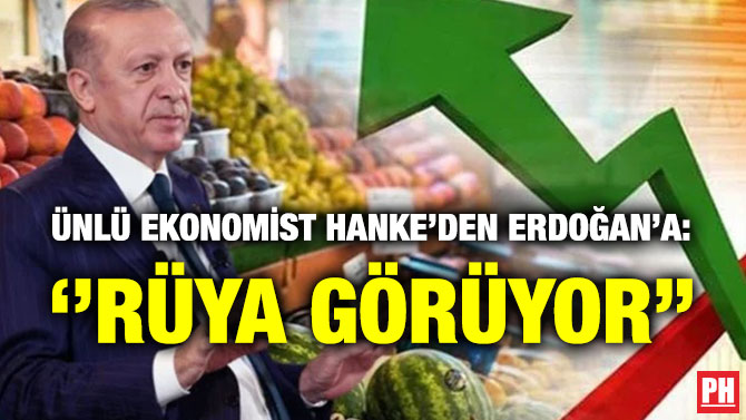 Ünlü Ekonomist Hanke’den Erdoğan’a: ”Rüya Görüyor”
