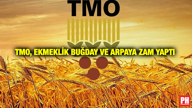 TMO, Ekmeklik Buğday ve Arpaya Zam Yaptı