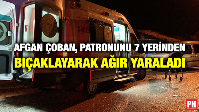 Afgan Çoban, Patronunu 7 Yerinden Bıçaklayarak Ağır Yaraladı