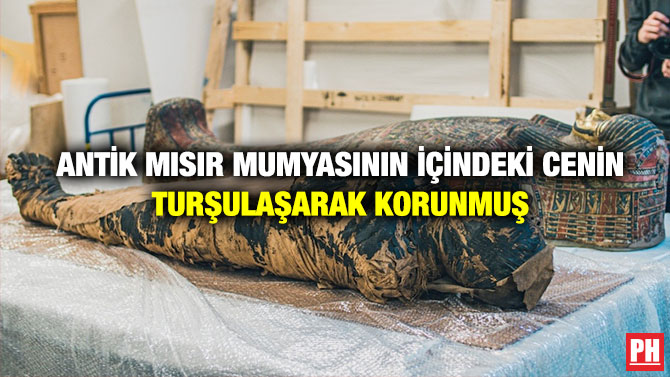 Antik Mısır Mumyasının İçindeki Cenin Turşulaşarak Korunmuş