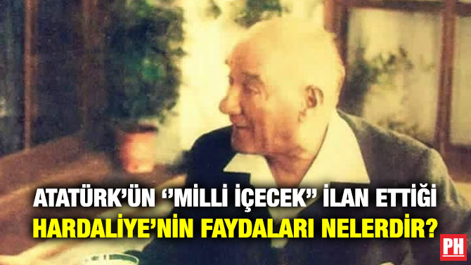 Atatürk’ün ”Milli İçecek” İlan Ettiği Hardaliye’nin Faydaları Nelerdir?