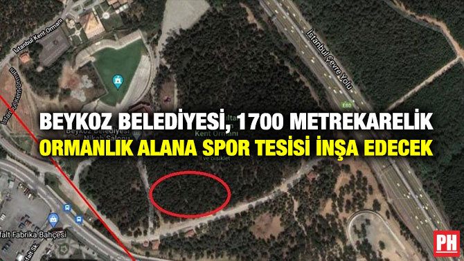 Beykoz Belediyesi, 1700 Metrekarelik Ormanlık Alana Spor Tesisi İnşa Edecek