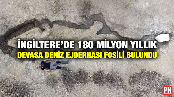 İngiltere’de 180 Milyon Yıllık Devasa Deniz Ejderhası Fosili Bulundu
