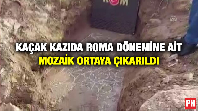 Kaçak Kazıda Roma Dönemine Ait Mozaik Ortaya Çıkarıldı