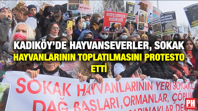 Kadıköy’de Hayvanseverler, Sokak Hayvanlarının Toplatılmasını Protesto Etti