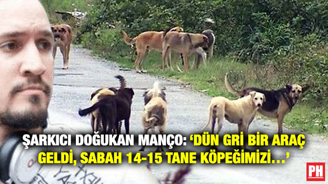 Şarkıcı Doğukan Manço: ‘Dün Gri Bir Araç Geldi, Sabah 14-15 Tane Köpeğimizi…’