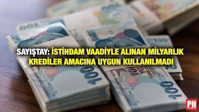 Sayıştay: İstihdam Vaadiyle Alınan Milyarlık Krediler Amacına Uygun Kullanılmadı