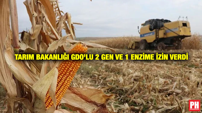 Tarım Bakanlığı GDO’lu 2 Gen ve 1 Enzime İzin Verdi