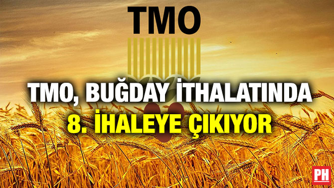 TMO, Buğday İthalatında 8. İhaleye Çıkıyor