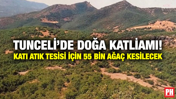 Tunceli’de Doğa Katliamı! Katı Atık Tesisi İçin 55 Bin Ağaç Kesilecek