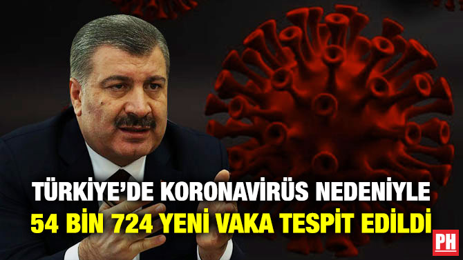 Türkiye’de Koronavirüs Nedeniyle 54 Bin 724 Yeni Vaka Tespit Edildi