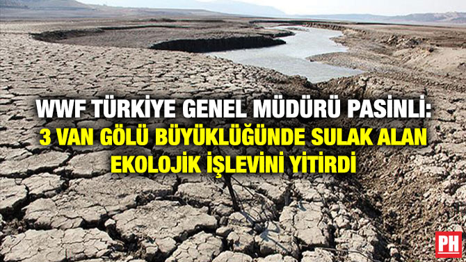 WWF Türkiye Genel Müdürü Pasinli: 3 Van Gölü Büyüklüğünde Sulak Alan Ekolojik İşlevini Yitirdi