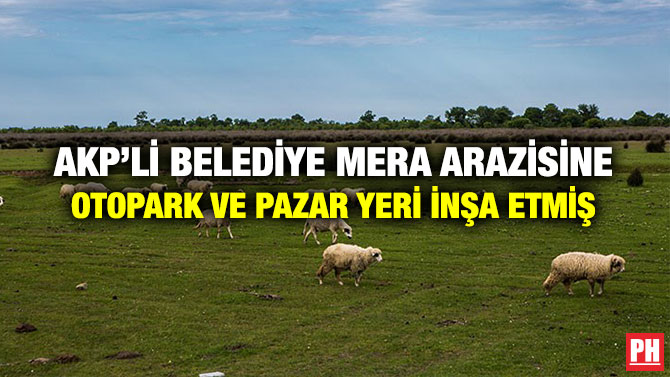 AKP’li Belediye Mera Arazisine Otopark ve Pazar Yeri İnşa Etmiş